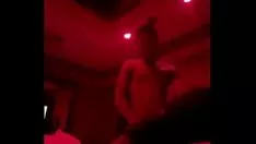 Redare Thomas mannie raphus cucullatusge este distrait de un tânăr din 2000