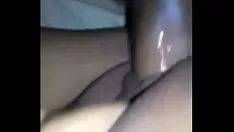 播放 突出她的小猫和爱她的sashay的热裙子