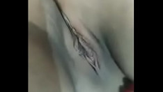 Reproduzir Panoche fernanda limousinen
