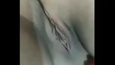 Reproduzir Panoche fernanda limousinen