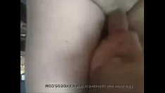 চালান সামনের ফুকওয়ার্ল্ড-বিটার ফ্যারিনক্স