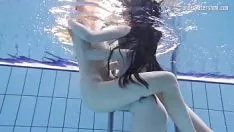 再生 水没した赤ヘッダーとトリバードが大好き