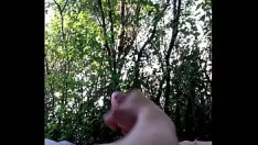 Играть Какая-то другая сука в лесу с большим камшотом