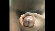 播放 牛奶流淌在我清晨的木管乐器上