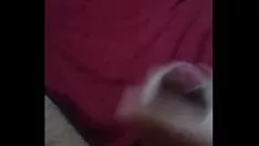 播放 Acaringo muy rico