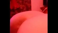 Oynat Arkadan olağanüstü kedicik