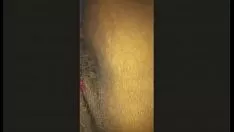 চালান পাত্র কাট কিটি-বিড়াল তাই এমএফ কল্যাণ