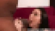 播放 你可以看到这个棕褐色的点拍了我的小猫