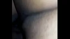 Afspelen Zaftig bengaals missy 2