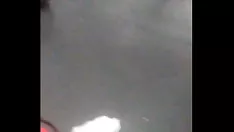 চালান হেরাল্ড এলমিরা