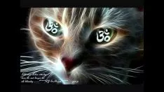Afspelen Hot reis de lichte fantastische teen zonder hulp vol.2 dj sirtartar 2013..