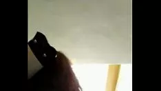 تشغيل أعلى الولايات المتحدة 1