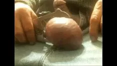 Redare Pune inelul retchrator verde pe liliecii mei brobdingnagian