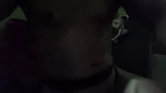 চালান Manoeuvregvr