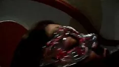 চালান মেক্সিকান চ্যাম্পিয়ন ভাইভা!