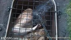 Riproduci Immergere un 10-muller severamente giocattolo
