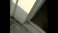 চালান সাধারণ লেবার্নাম