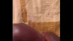 Reproducir Raíz de Wprognosticate